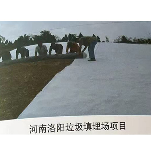 河南洛陽(yáng)垃圾填埋場(chǎng)項(xiàng)目